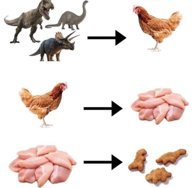 Image from the blursed chicken nugget example